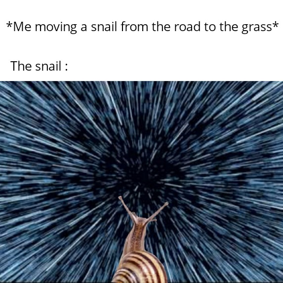 star wars jump to lightspeed - Me moving a snail from the road to the grass The snail
