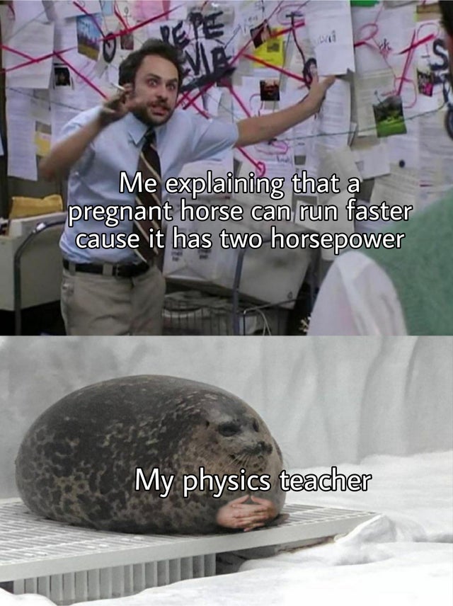 explaining to a seal meme - We Me explaining that a pregnant horse can run faster cause it has two horsepower My physics teacher