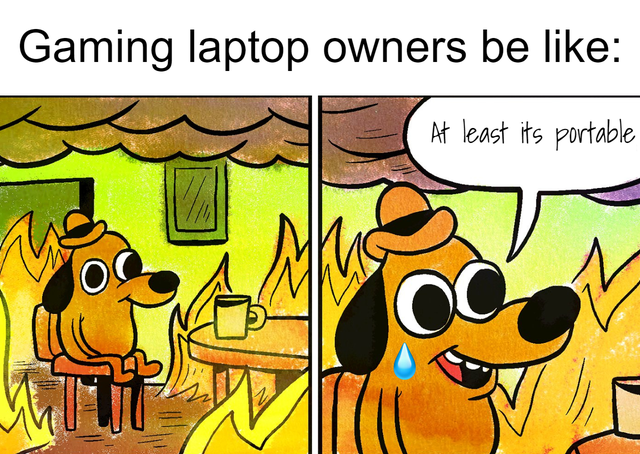 w everything is fine - Gaming laptop owners be At least its portable M