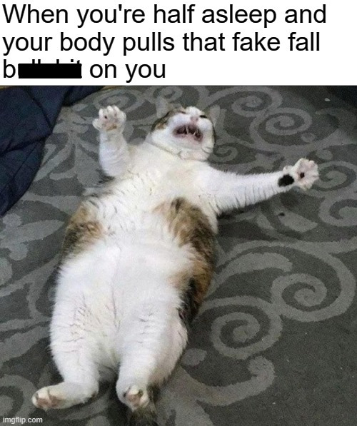 funny cat pics 2020 - When you're half asleep and your body pulls that fake fall bon you imgflip.com
