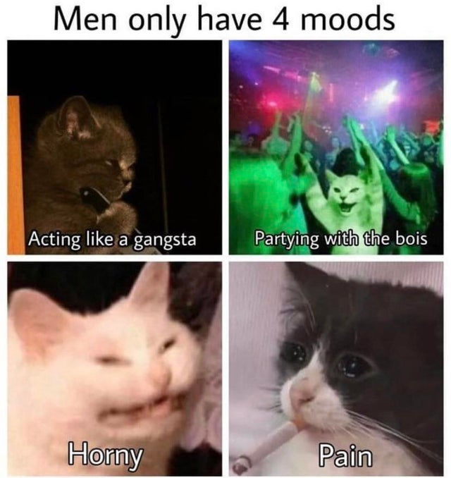 photo caption - Men only have 4 moods Acting a gangsta Partying with the bois Horny Pain