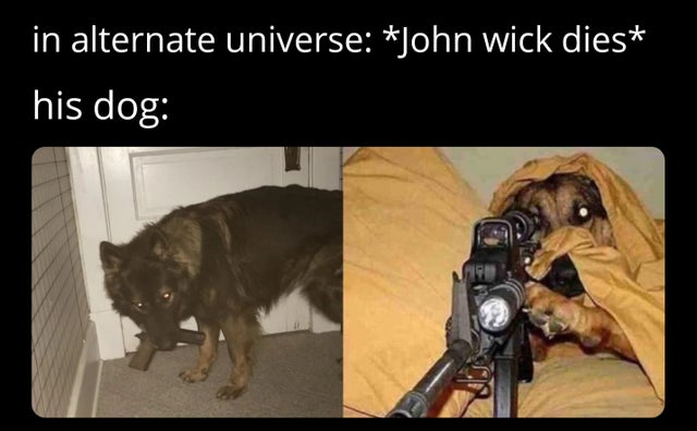 Internet meme - in alternate universe John Wick dies his dog 19