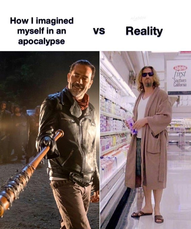 dude big lebowski robe - How I imagined myself in an apocalypse Vs Reality first Southern Coloma