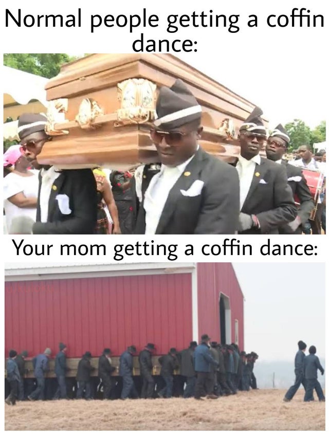 dancing coffin meme - Normal people getting a coffin dance Your mom getting a coffin dance