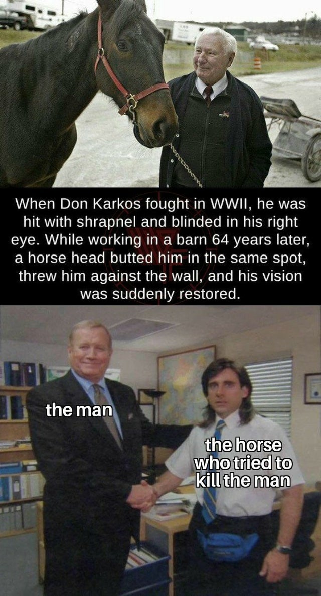 young michael scott shaking hands meme generator - When Don Karkos fought in Wwii, he was hit with shrapnel and blinded in his right eye. While working in a barn 64 years later, a horse head butted him in the same spot, threw him against the wall, and his