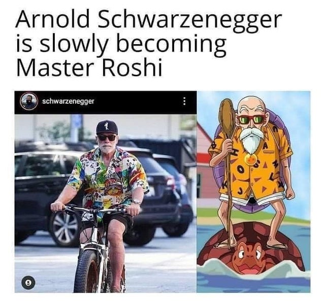 master roshi - Arnold Schwarzenegger is slowly becoming Master Roshi schwarzenegger