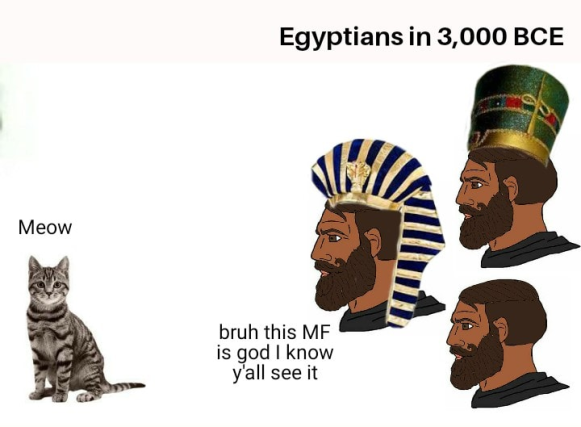 human behavior - Egyptians in 3,000 Bce Meow bruh this Mf is god I know y'all see it