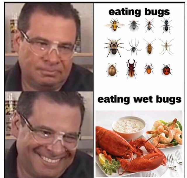 eating bugs eating wet bugs meme - eating bugs eating wet bugs