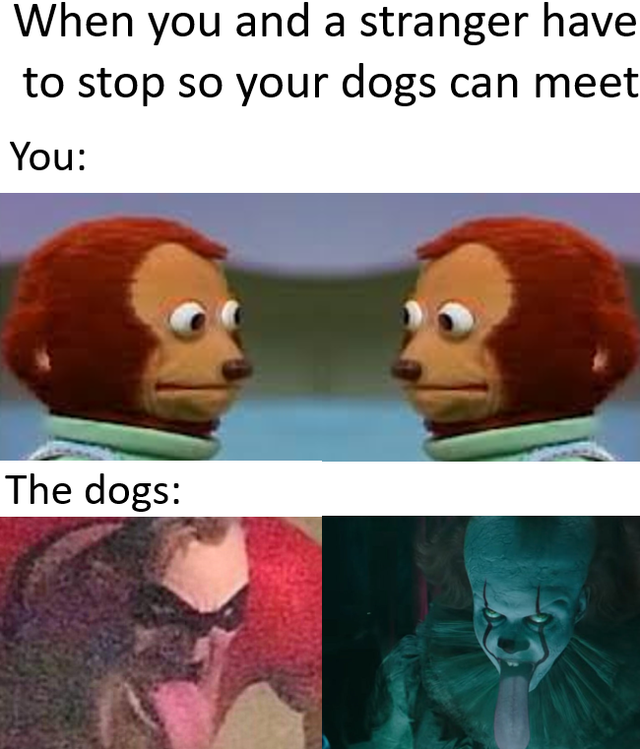 Internet meme - When you and a stranger have to stop so your dogs can meet You The dogs