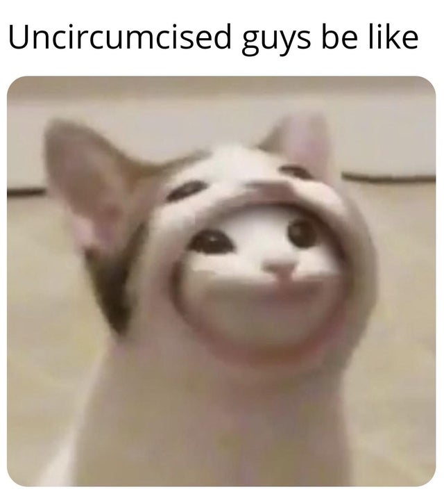 cat with wide mouth meme - Uncircumcised guys be