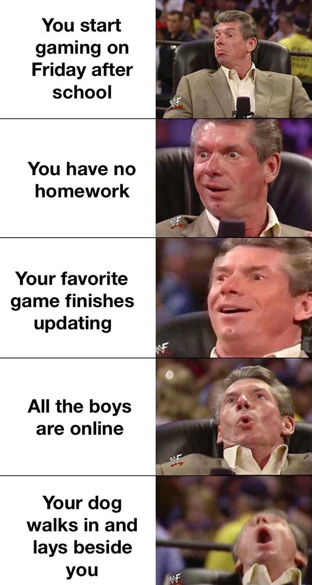 vince mcmahon meme - You start gaming on Friday after school You have no homework Your favorite game finishes updating All the boys are online Your dog walks in and lays beside you
