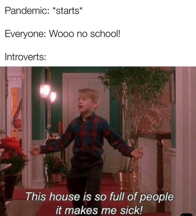 home alone 1 quotes - Pandemic starts Everyone Wooo no school! Introverts This house is so full of people it makes me sick!