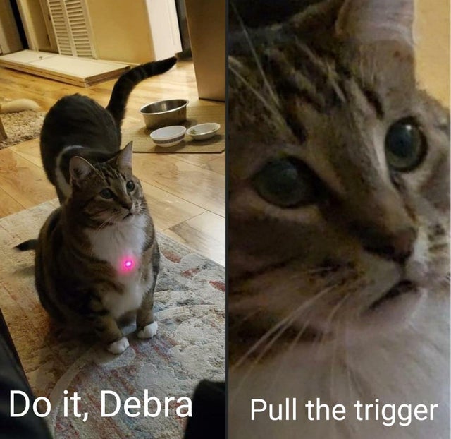 fauna - Do it, Debra Pull the trigger