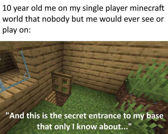 wall - 10 year old me on my single player minecraft world that nobody but me would ever see or play on "And this is the secret entrance to my base that only I know about..."