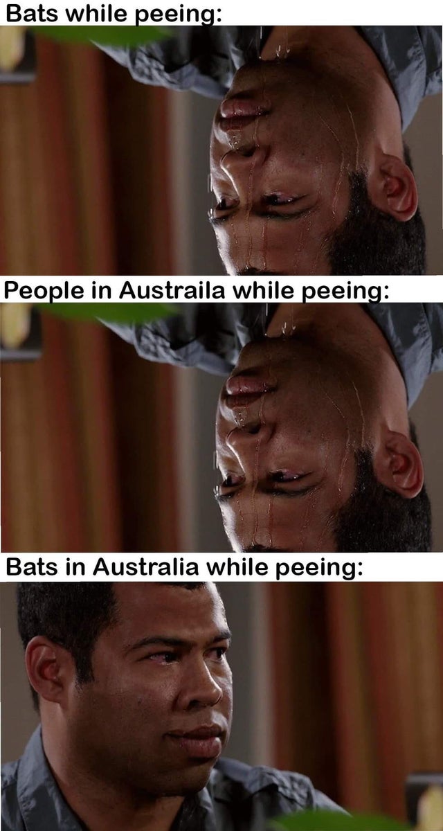 bats meme - Bats while peeing People in Austraila while peeing Bats in Australia while peeing