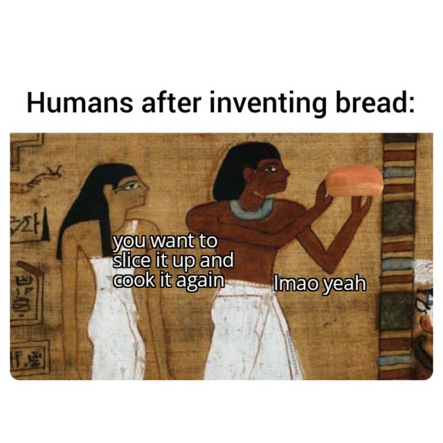 Humans after inventing bread 22 you want to slice it up and cook it again Imao yeah