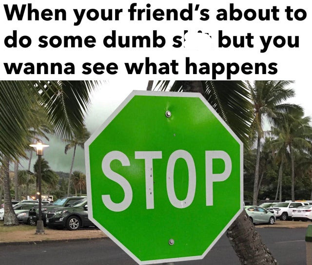 green stop sign - When your friend's about to do some dumb s? but you wanna see what happens Stop