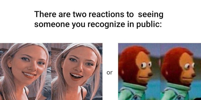 scarlett johansson meme template - There are two reactions to seeing someone you recognize in public or