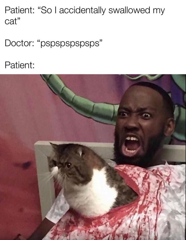 chinese food is undercooked - Patient So I accidentally swallowed my cat" Doctor pspspspspsps Patient