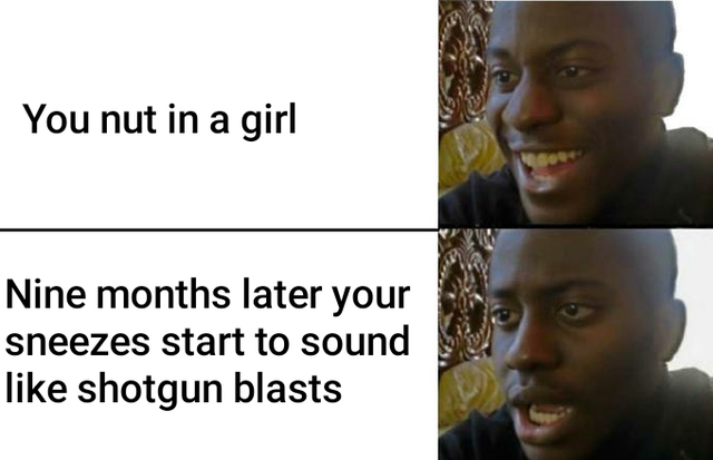 royale high memes - You nut in a girl Nine months later your sneezes start to sound shotgun blasts