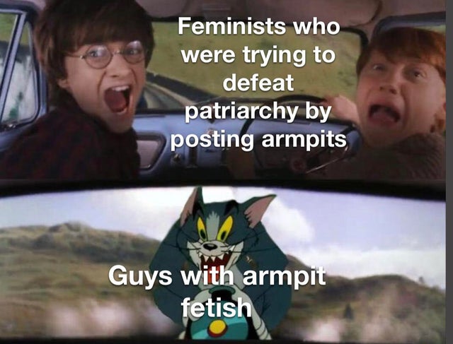 harry ron and tom meme template - Feminists who were trying to defeat patriarchy by posting armpits Guys with armpit fetish
