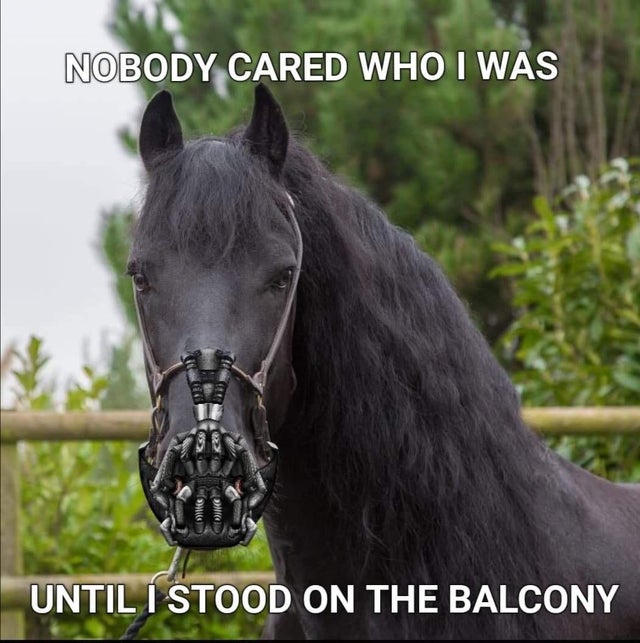 halter - Nobody Cared Who I Was On Until I Stood On The Balcony