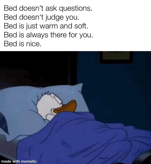 sleeping meme template - Bed doesn't ask questions. Bed doesn't judge you. Bed is just warm and soft. Bed is always there for you. Bed is nice. made with mematic