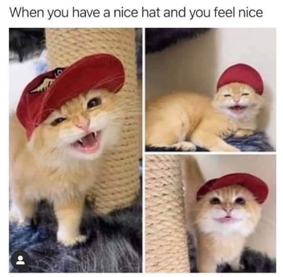 you have a nice hat and you feel nice - When you have a nice hat and you feel nice