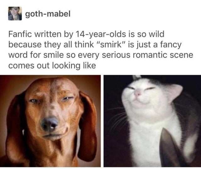 fanfiction smirk meme - gothmabel Fanfic written by 14yearolds is so wild because they all think smirk is just a fancy word for smile so every serious romantic scene comes out looking