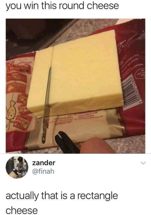 cheese meme - you win this round cheese zander actually that is a rectangle cheese