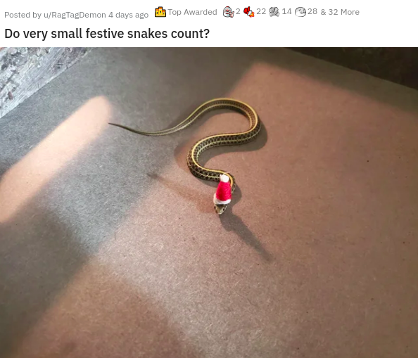 body jewelry - 2 22 14 28 & 32 More Posted by uRagTagDemon 4 days ago Top Awarded Do very small festive snakes count?