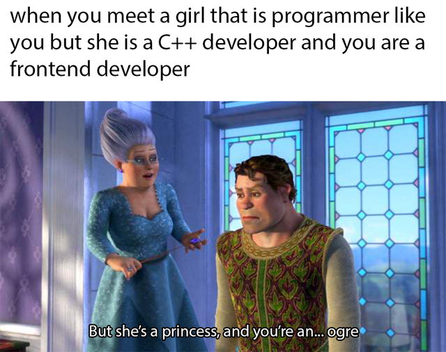 media - when you meet a girl that is programmer you but she is a C developer and you are a frontend developer But she's a princess, and you're an... Ogre