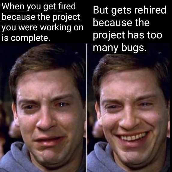 peter parker crying meme template - When you get fired because the project you were working on is complete. But gets rehired because the project has too many bugs.