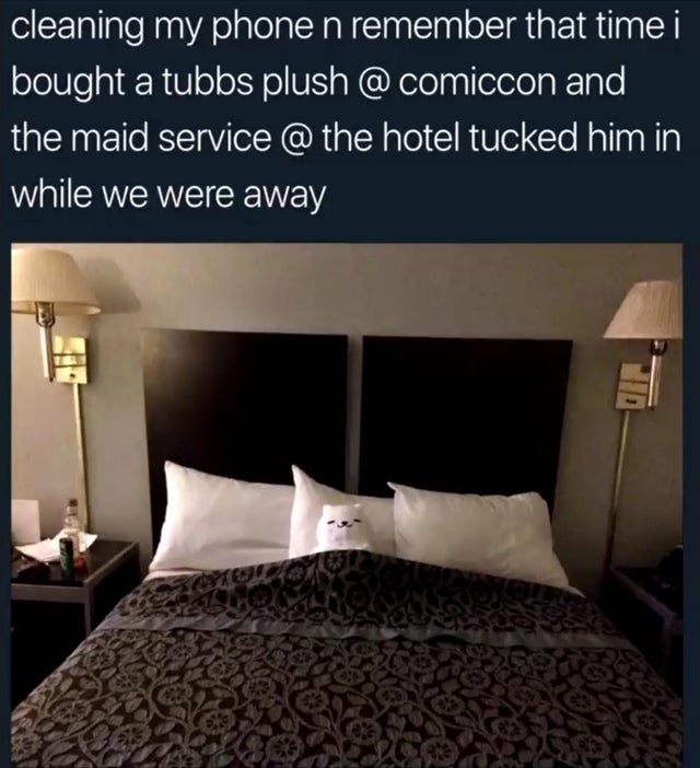 neko atsume memes twitter - cleaning my phone n remember that time i bought a tubbs plush @ comiccon and the maid service @ the hotel tucked him in while we were away