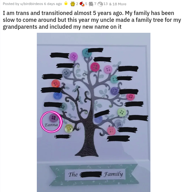 plastic - Posted by ubirdbirdeos 6 days ago 27 13 & 18 More I am trans and transitioned almost 5 years ago. My family has been slow to come around but this year my uncle made a family tree for my grandparents and included my new name on it Eanna The Famil