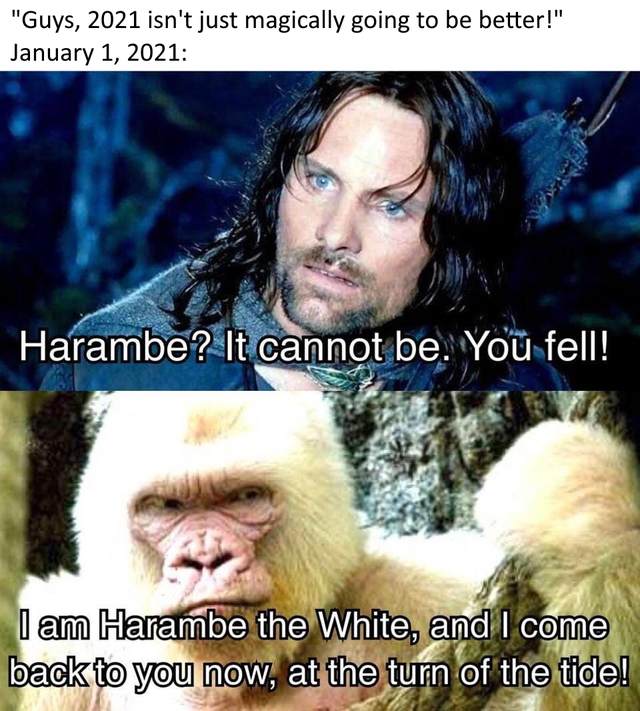 lord of the rings memes - Guys, 2021 isn't just magically going to be better! Harambe? It cannot be. You fell! I am Harambe the White, and I come back to you now, at the turn of the tide!