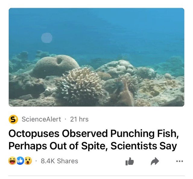 marine biology - S ScienceAlert 21 hrs Octopuses Observed Punching Fish, Perhaps Out of Spite, Scientists Say D. ...