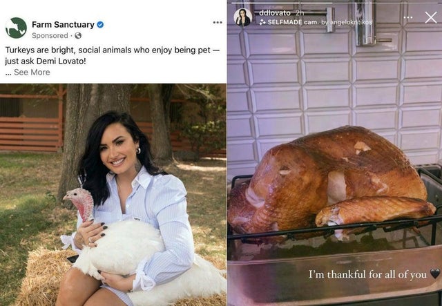 demi lovato turkey - ddlovato 2h Selfmade cam. by angeloktikos X Farm Sanctuary Sponsored Turkeys are bright, social animals who enjoy being pet just ask Demi Lovato! ... See More I'm thankful for all of you