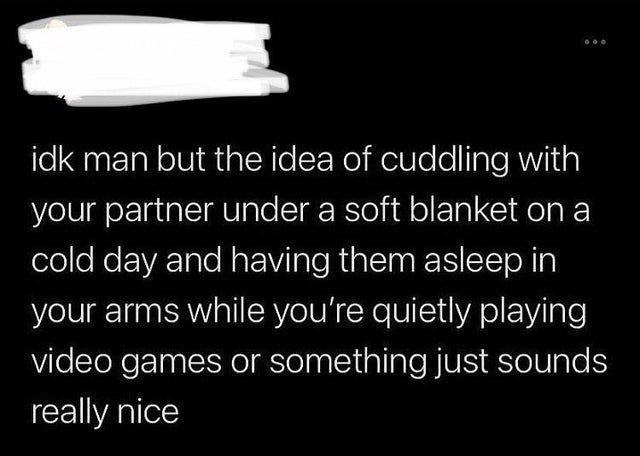 monochrome - idk man but the idea of cuddling with your partner under a soft blanket on a cold day and having them asleep in your arms while you're quietly playing video games or something just sounds really nice