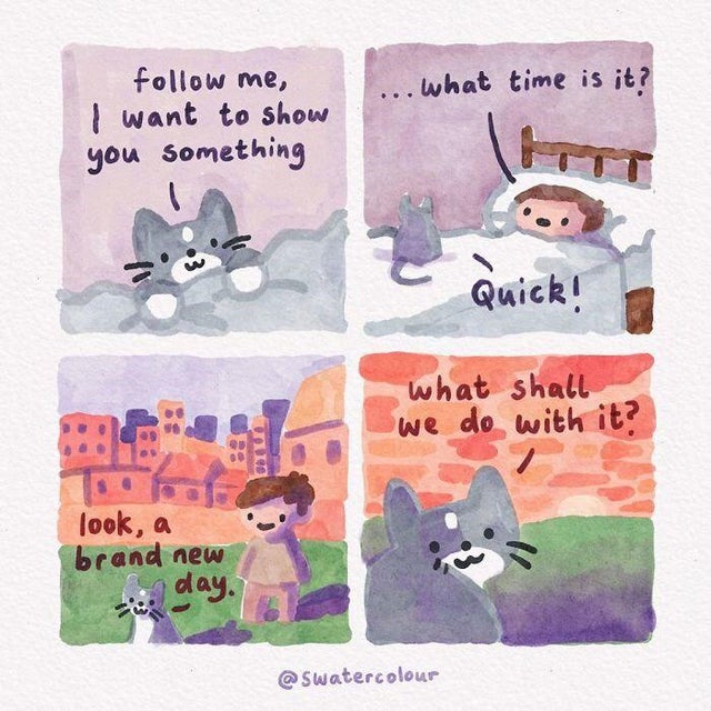 watercolor cat comic - .. what time is it? .. me, I want to show you something Quick! what shall we do with it? 00 look, a brand new day.