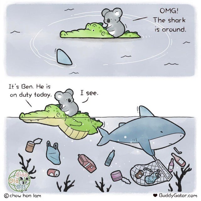 buddy gator comics - Omg! The shark is around. It's Ben. He is on duty today I see. ciao Free chow hon lam We W BuddyGator.com