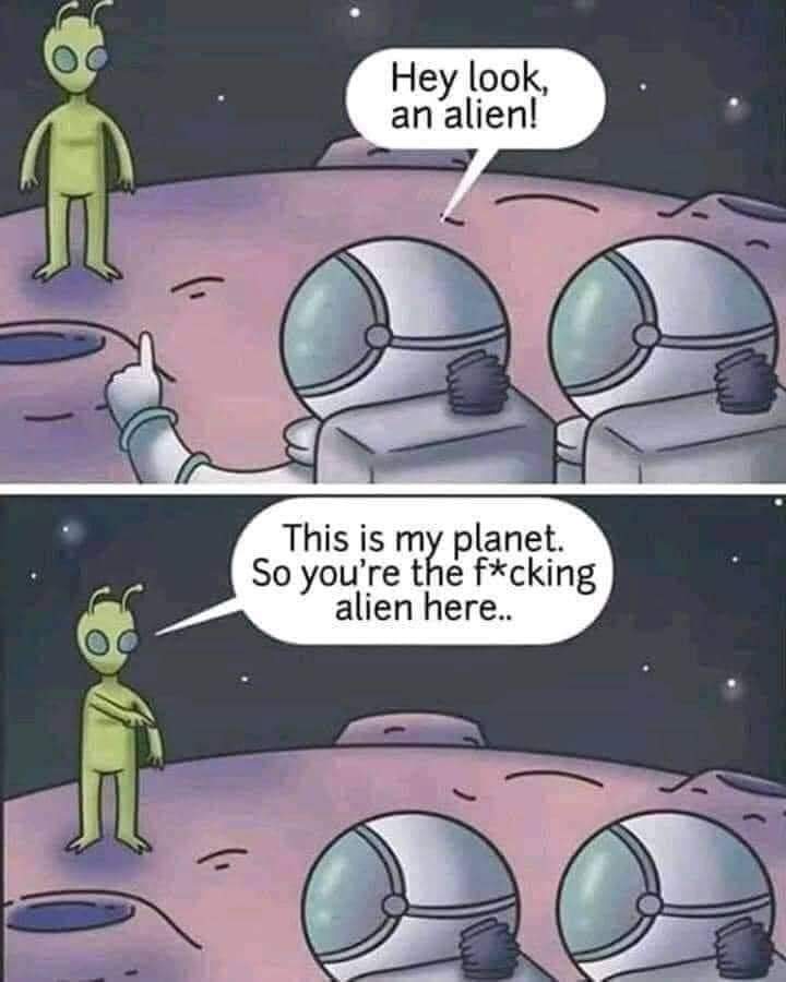 alien meme - Hey look, analien! This is my planet So you're the fcking alien here..
