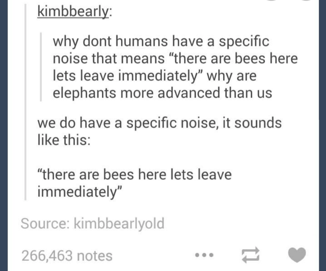 quotes about girls - kimbbearly why dont humans have a specific noise that means there are bees here lets leave immediately why are elephants more advanced than us we do have a specific noise, it sounds this there are bees here lets leave immediately Sour