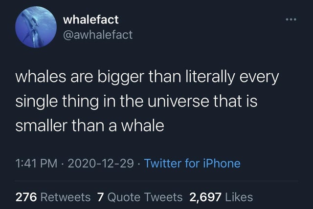 weird james charles twitter - whalefact whales are bigger than literally every single thing in the universe that is smaller than a whale Twitter for iPhone 276 7 Quote Tweets 2,697
