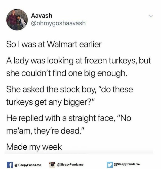 hotdog a sandwich questions - Aavash Sol was at Walmart earlier A lady was looking at frozen turkeys, but she couldn't find one big enough. She asked the stock boy, do these turkeys get any bigger? He replied with a straight face, No ma'am, they're dead. 