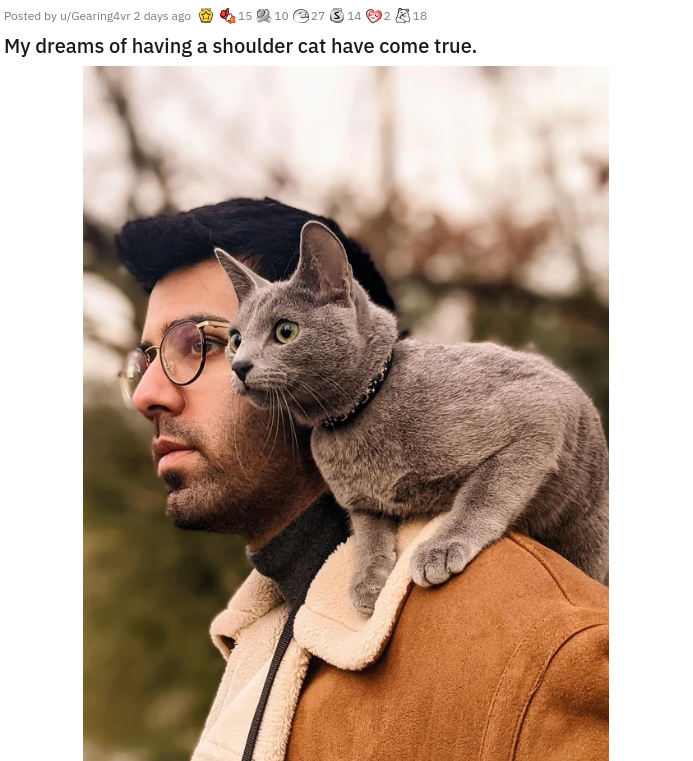 cat - Posted by wearing 2 0 0 15910 927 14 My dreams of having a shoulder cat have come true.