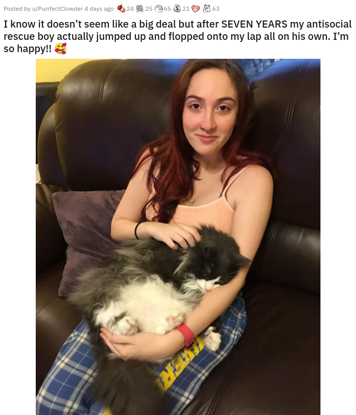 photo caption - Posted by PuntactClown days ago 62426 63218 I know it doesn't seem a big deal but after Seven Years my antisocial rescue boy actually jumped up and flopped onto my lap all on his own. I'm so happy!! R