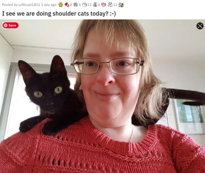 glasses - Posted by wWusel1011 1 day ago 85. 113 I see we are doing shoulder cats today? Save