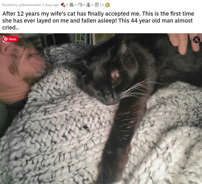 photo caption - Posted by Wiverenetan 2 days ago 3513 After 12 years my wife's cat has finally accepted me. This is the first time she has ever layed on me and fallen asleep! This 44 year old man almost cried.. Save
