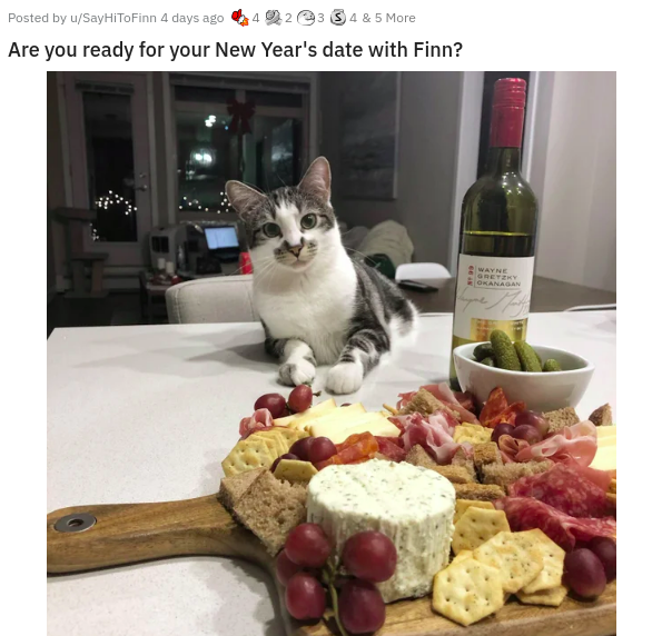 cat - Posted by SayHiToFinn 4 days ago 4920 3 4 & 5 More Are you ready for your New Year's date with Finn?